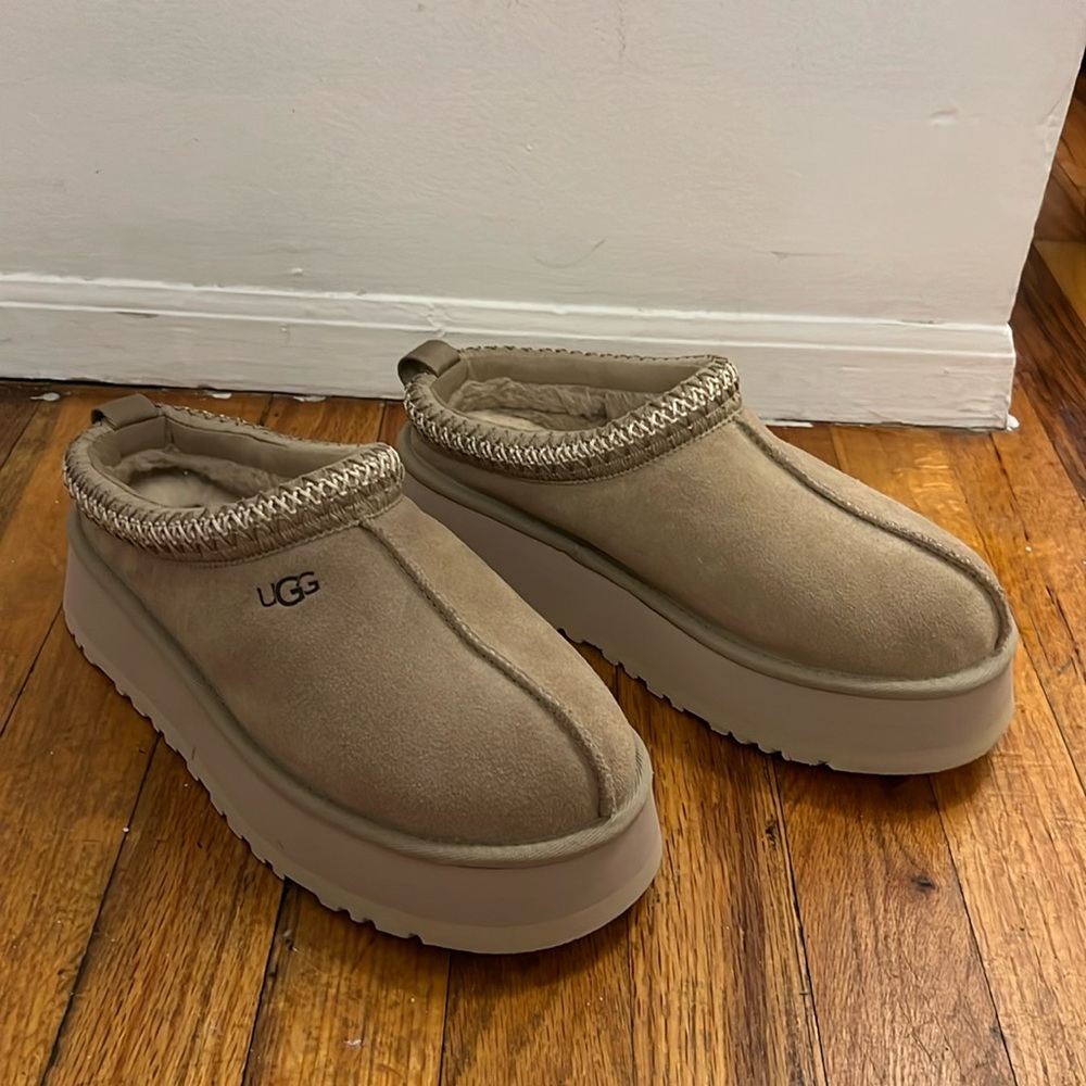 Brand New Tasman Ugg slipper